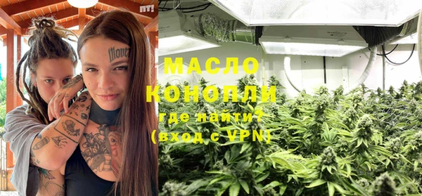 дживик Бронницы