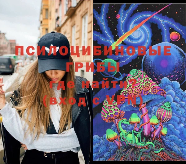 дживик Бронницы