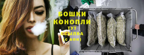 дживик Бронницы