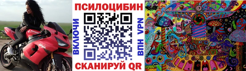 Псилоцибиновые грибы Psilocybe  где купить наркоту  Тамбов 