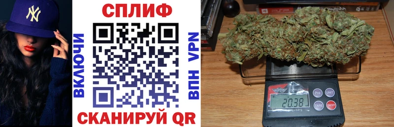купить закладку  Тамбов  Каннабис семена 
